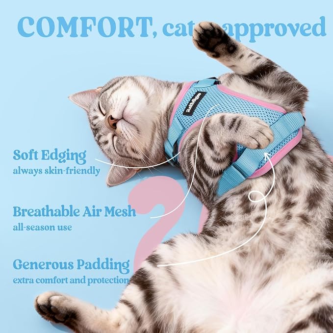 rabbitgoo Cat Harness and Leash Set, Escape Proof Vest, Light Blue & Pink | Soft Breathable Mesh, Easy Adjustable Fit, Snap Buckles, Sturdy Clip, Reflective Strips, for Kittens & Small Cats Walks, Xxs