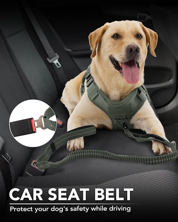 Joytale Tactical Dog Collar(17"-21") and Dog Leash Set, Shock Absorbing Bungee Dog Leash and Adjustable Strong Dog Collar with Handle for Large Dogs(ArmyGreen, L)