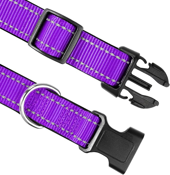 Joytale 6FT1'' Dog Leash and Collar (16-24"), Reflective Soft Neoprene Padded Pet Collars and Leashes for Large Dogs, Purple