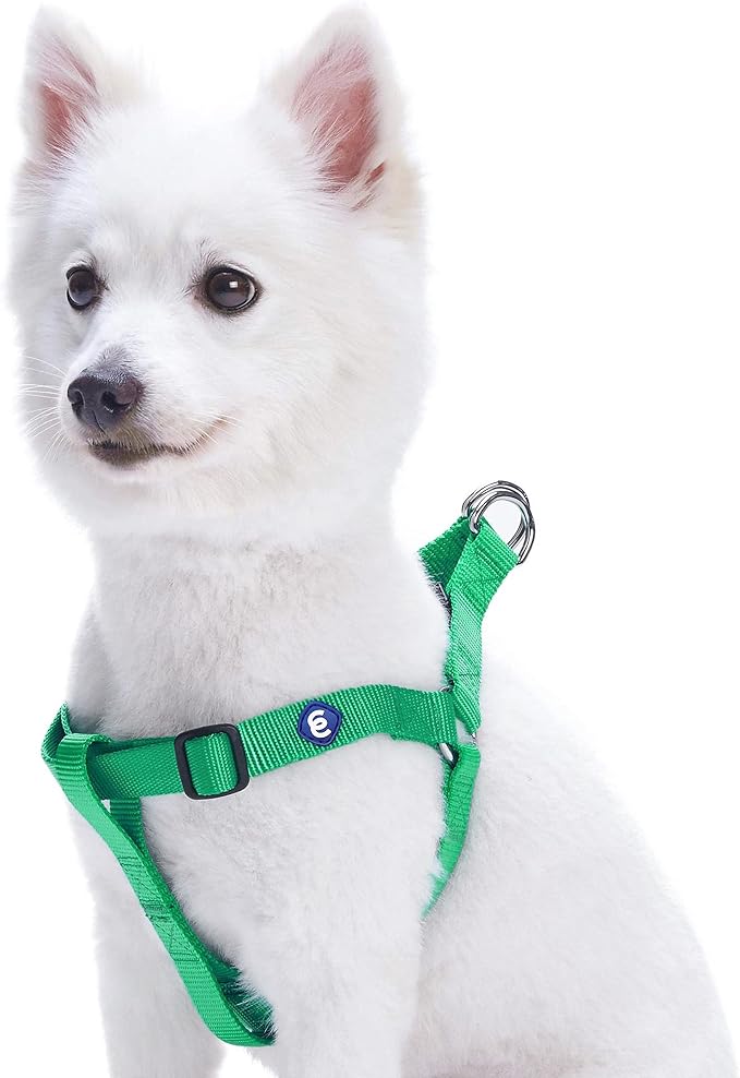 Blueberry Pet Essentials Step-in Dog Harness, Small Size | Adjustable Emerald Vest | Classic Solid Nylon for Boy & Girl Dogs, Chest Girth 16.5" - 21.5"