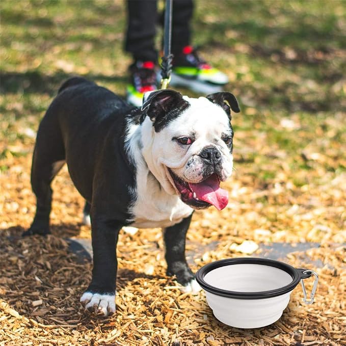 Dog Bowl Collapsible, 2 Pack, Portable & Foldable, Small, Black+White