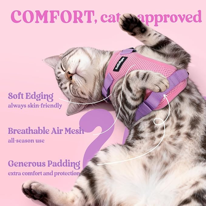 rabbitgoo Cat Harness and Leash Set, Escape Proof Vest, Pink & Light Purple | Soft Breathable Mesh, Easy Adjustable Fit, Snap Buckles, Sturdy Clip, Reflective Strips, for Medium to Large Cats Walks, M