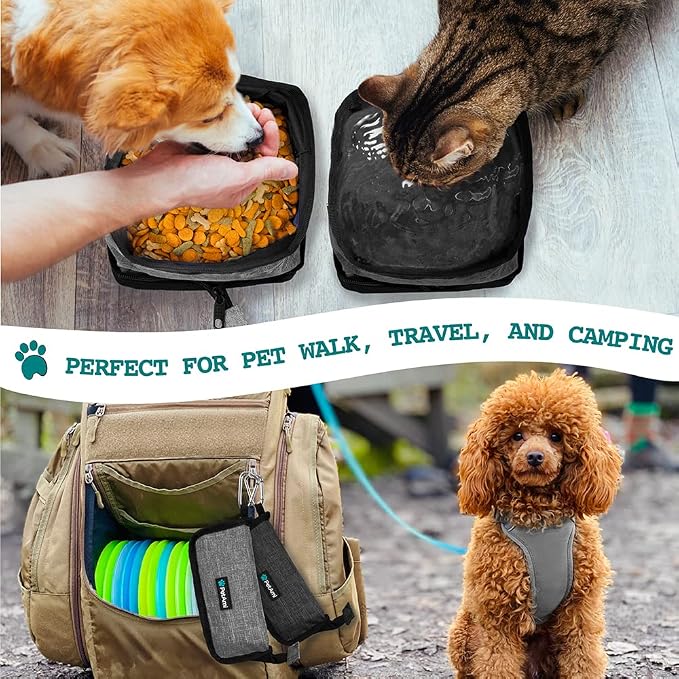 PetAmi Collapsible Dog Bowls, 2 Pack, Travel Set, Gray
