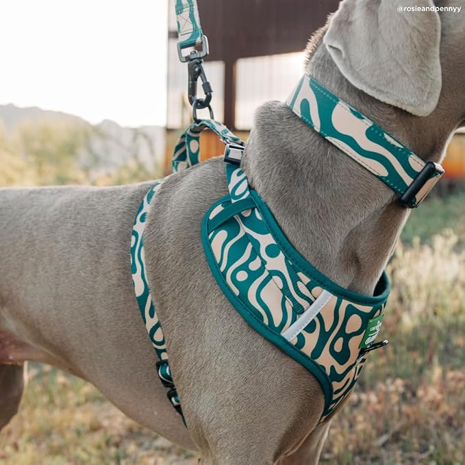 Lucy & Co. x Parks Project Geyser No-Pull Dog Harness, Adjustable Front Clip Harness with Comfort Padding, Large