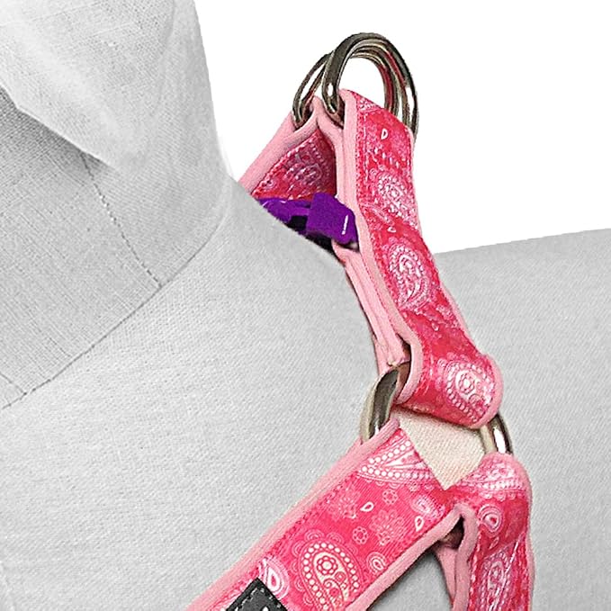 Blueberry Pet 5 Colors Soft & Comfy Step-in Paisley Flower Print Dog Harness, Chest Girth 20" - 26", Pink, Medium, Adjustable Harnesses for Dogs