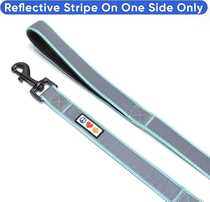 Pawtitas Double Handle Dog Leash Heavy Duty for Training No Pull Leashes Ideal for Medium and Large Dogs | Great for Walking, Running & Training Dog Leash - Medium/Large - Teal