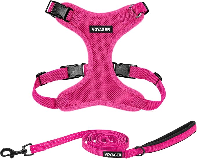 Best Pet Supplies Voyager Step-in Lock Pet Harness w Reflective Pet Leash Combo Set with Neoprene Handle 5ft - Supports Small, Medium and Large Breed Puppies/Cats - Fuchsia Set, M
