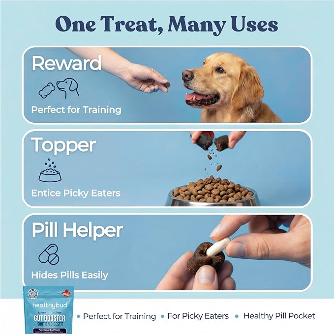 Healthybud Dog Probiotic Chews – Digestive & Gut Health Support – Prebiotic, Fiber, Pumpkin & Sweet Potato – Stool Hardener & Sensitive Stomach Relief – Made in Canada (4.6oz)