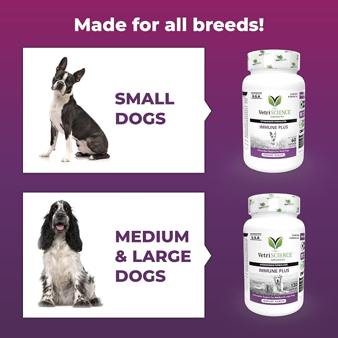 VetriScience Immunity Health Capsules for Small Breed Dogs, 120 Count | Immune Support Supplement for Medium & Large Breed Dogs with Vitamin C, CoQ10 & L-Lysine, Hypoallergenic Formula