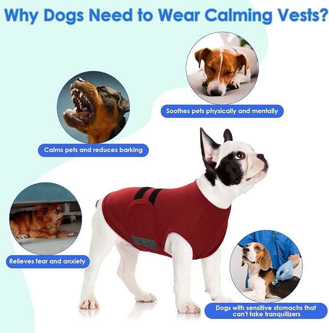 MIGOHI Dog Anxiety Relief Coat, Small, Small, Red
