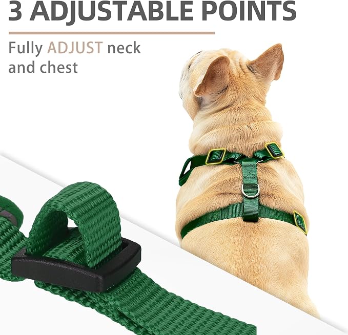 PUPTECK Christmas Small Dog Harness and Leash Set, No Pull Adjustable Puppy Cat Harness, Reflective Soft Mesh Pet Vest Small Sized, Santa Claus, S