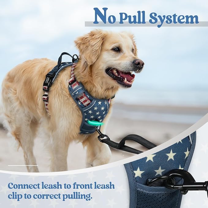 rabbitgoo Dog Harness, No Pull for Small Dogs with 2 Leash Clips, Pet Vest | No Choke with Handle, Adjustable Soft Padded, Reflective, Easy Control for Walking, Blue Star, Small