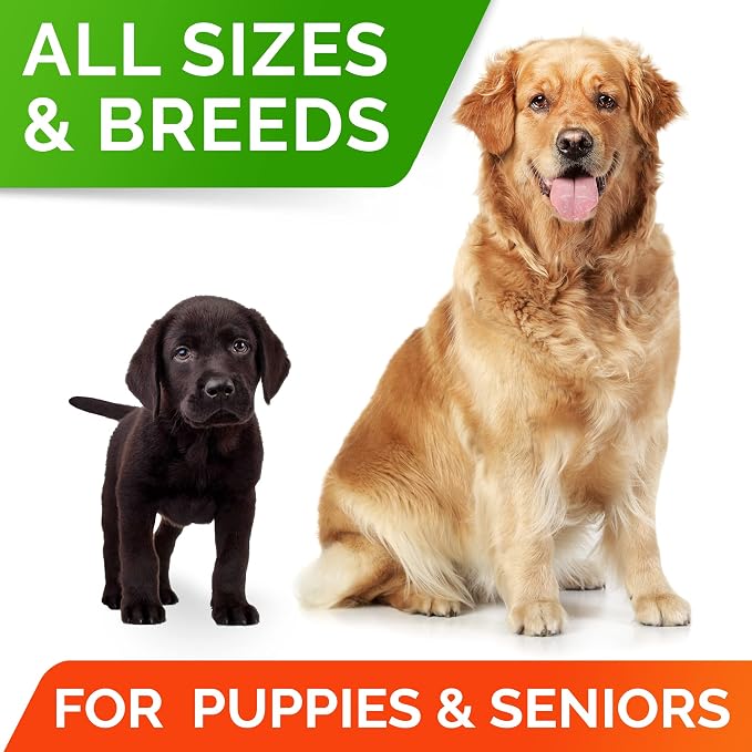 STRELLALAB Dog Probiotics Chews + Enzymes Gut Health Support