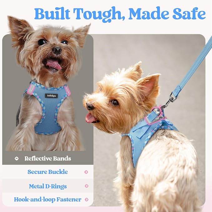 rabbitgoo Dog Harness Medium Sized and Leash Set, Step-in Puppy Pet Vest | Light, Soft, Breathable Air Mesh, Easy on and Remove with Hook & Loop, Secure Reflective for Walking, Blue & Plaid Trim L