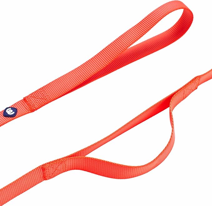 Blueberry Pet Essentials Double Handle Dog Leash for Traffic Control|5ft.x3/4" Medium Dog Leash|Classic Dog Leash with Two Handles for Dogs That Pull|Nylon 2 Handle Dog Leash in Florence Orange