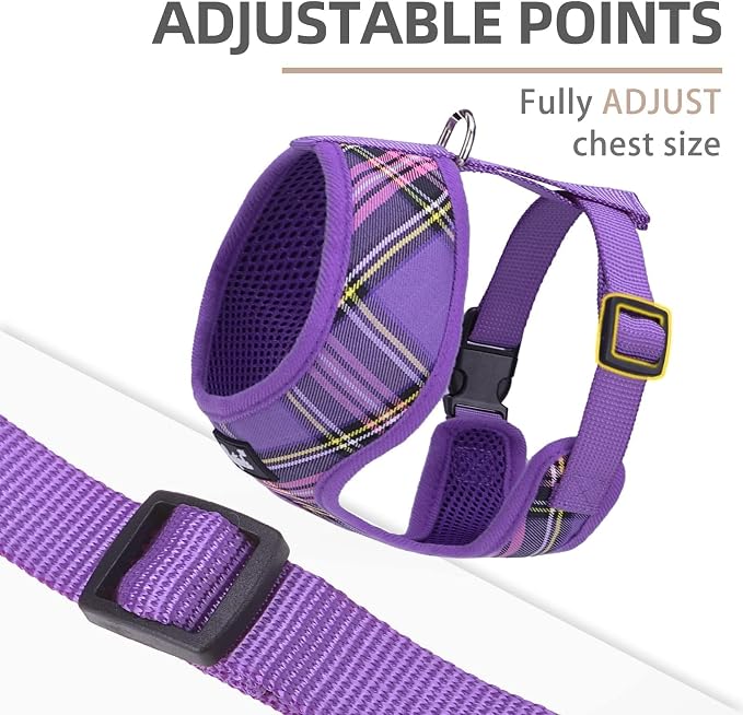 PUPTECK Soft Mesh Dog Harness and Leash Set Pet Puppy Cat Comfort Padded Vest No Pull Harnesses, Purple, XS