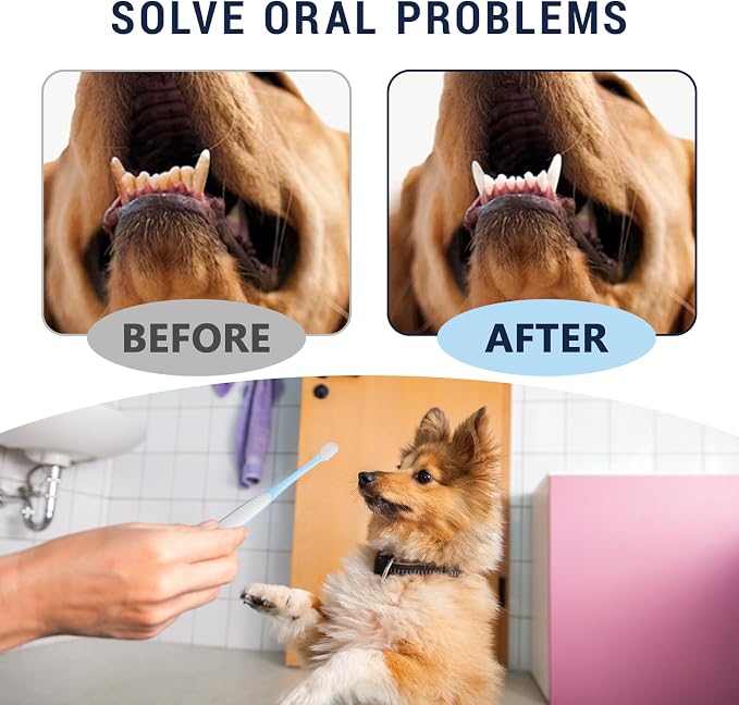 Pet Toothbrush Set for Small Dogs and Cats, 4 Pack Micro Head with Soft Bristles