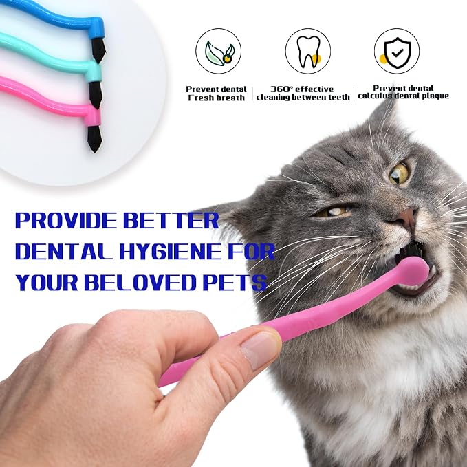 Pet Dental Care Set, Dual-Sided Toothbrush and Finger Brush, for Dogs and Cats (Black, Small Cone)