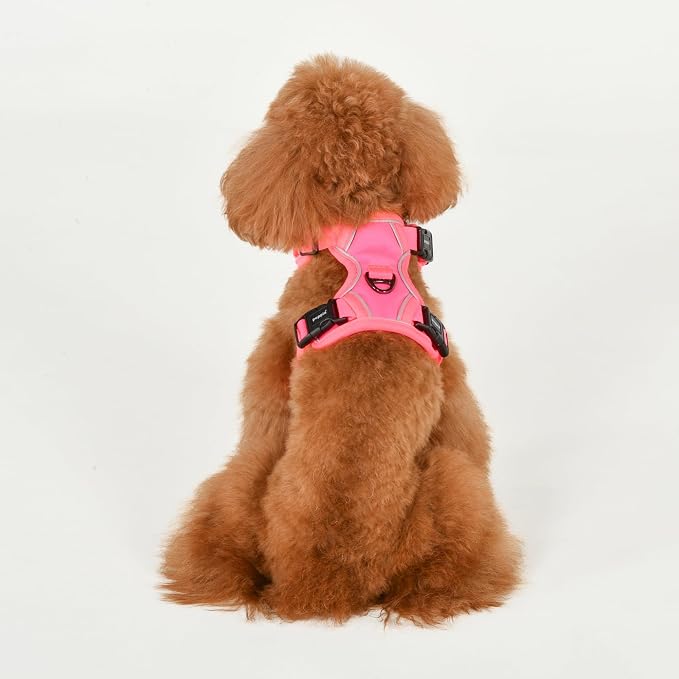 Puppia Neon Dog Harness H Sturdy Adjustable Neck and Chest Reflective Front and Back D-Ring for Small and Medium Dogs, Pink, Medium