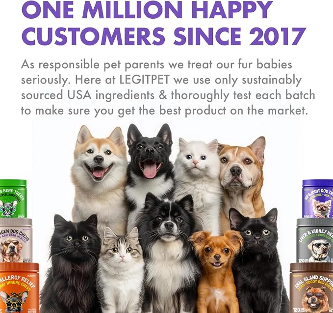Premium Grass-Fed Collagen for Dogs & Cats Liquid Drops Supplement Daily Formula Support Hip & Joint Skin Coat Gut Hydrolyzed Type I & III Bovine Protein Beef Flavor All Dog and Cat Sizes & Ages