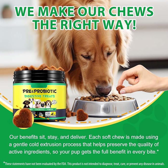 Probiotics for Dogs Chews – Digestive & Gut Health Support, Helps Maintain Stool Quality & Balance During Food Changes, with Prebiotics & Enzymes, Chicken Flavor, 120 Soft Chews