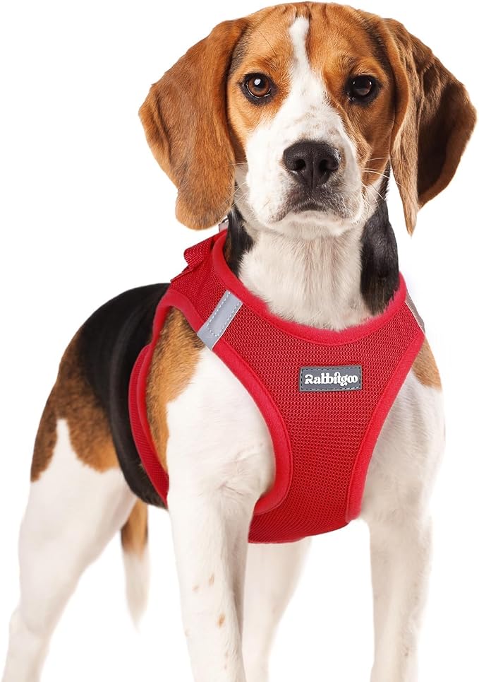 rabbitgoo Step-in Small Dog Harness, Puppy Vest for Small Medium Sized Pet | Easy Put on and off, Lightweight, Soft, Breathable Quick-Dry Air Mesh for Comfortable Secure Walking, Red XL