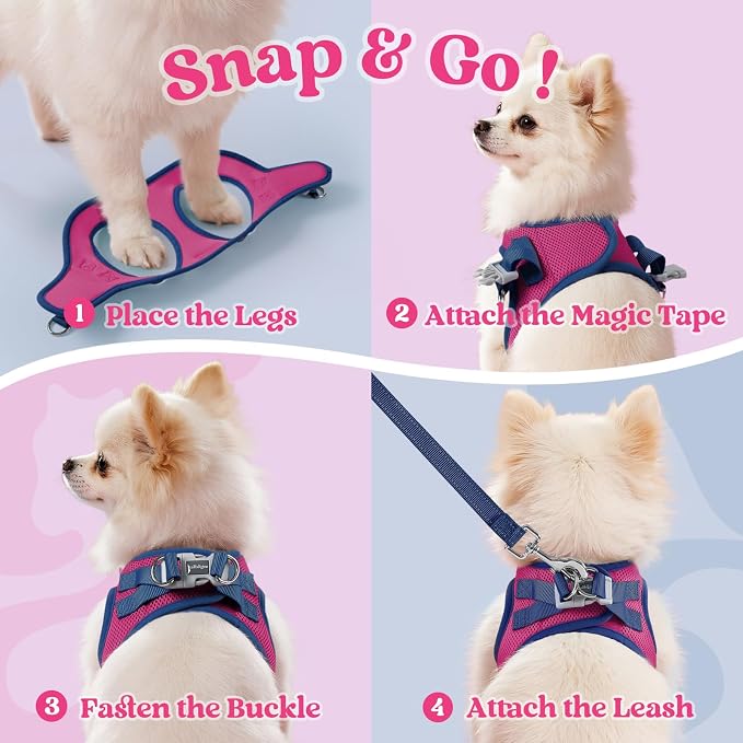 rabbitgoo Dog Harness Small Sized and Leash Set, Step in Soft Vest | Breathable Mesh, Easy Wear with Hook & Loop, Light and Reflective for Walking, Multi-colored, Rose Red & Navy Blue, L