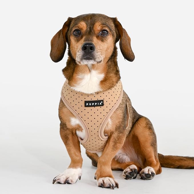 Puppia Dotty Dog Harness A (Over-the-Head) Fashionable Polka Dot Pattern Spring Summer Harness for Small Dogs, Beige, Small