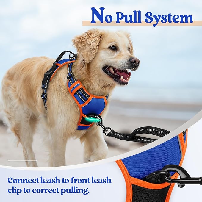 rabbitgoo Dog Harness, No Pull for Small Dogs with 2 Leash Clips, Pet Vest | No Choke with Handle, Adjustable Soft Padded, Reflective, Easy Control for Walking, Blue & Orange, Small