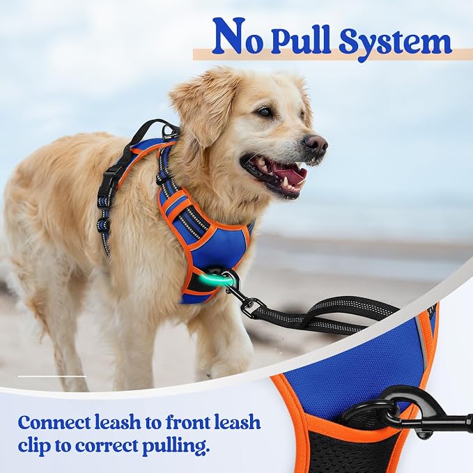 rabbitgoo Dog Harness, No Pull Medium Sized with 2 Leash Clips, Pet Vest | No Choke with Handle, Adjustable Soft Padded, Reflective, Easy Control for Walking, Blue & Orange, Medium