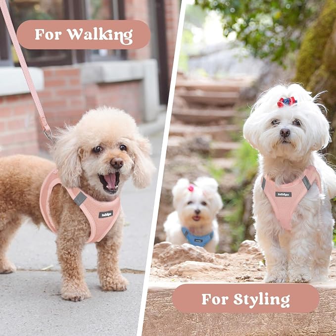 rabbitgoo Step-in Small Dog Harness, Puppy Vest for Small Medium Sized Pet | Easy Put on and off, Lightweight, Soft, Breathable Quick-Dry Air Mesh for Comfortable Secure Walking, Pink XL