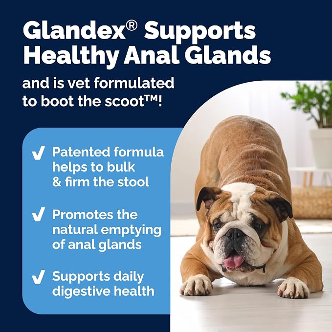 Vetnique Glandex Advanced Anal Gland Chews & Medicated Dog Wipes Bundle