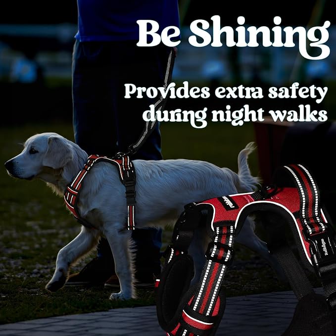 rabbitgoo Dog Harness Small Sized, Updated Easy On & Off with 3 Buckles | No Pull No Choke, Walking with 2 Clips and Handle, Adjustable Soft Reflective, Red, Small