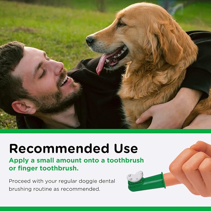 Nutri-Vet Enzymatic Dog Toothpaste, Plaque Remover for Teeth, Dog Breath Freshener, Tooth Whitening, Puppy Essentials, Made in The USA, Non-Foaming Chicken Flavor, 2.5 oz (Pack of 2)