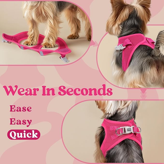 rabbitgoo Step-in Small Dog Harness, Puppy Vest for Small Medium Sized Pet | Easy Put on and off, Lightweight, Soft, Breathable Quick-Dry Air Mesh for Comfortable Secure Walking, Rose Red XL