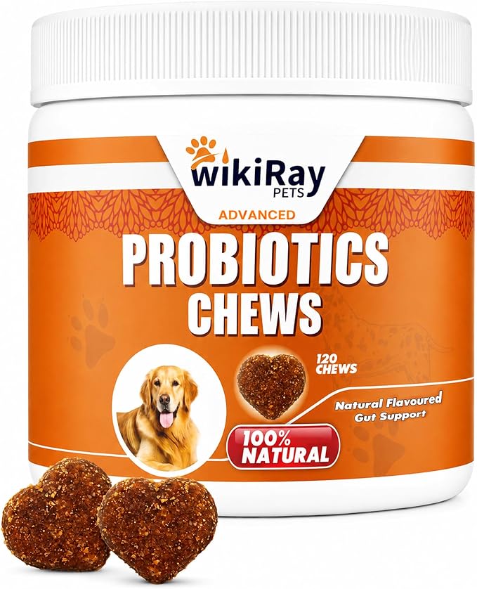 wikiRay Probiotics for Dogs – Soft Chews for Digestive Health & Immunity | 120 Chews | 3 Billion CFU, Pumpkin, Enzymes, Vitamins & Prebiotics | Made with Natural Ingredients