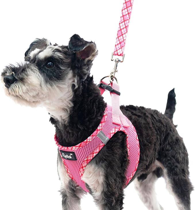 PUPTECK Dog Harness and Leash Set for Small Medium Dogs No Pull Step-in Soft Mesh Puppy Cat Vest Harnesses Reflective at Night, Pink M