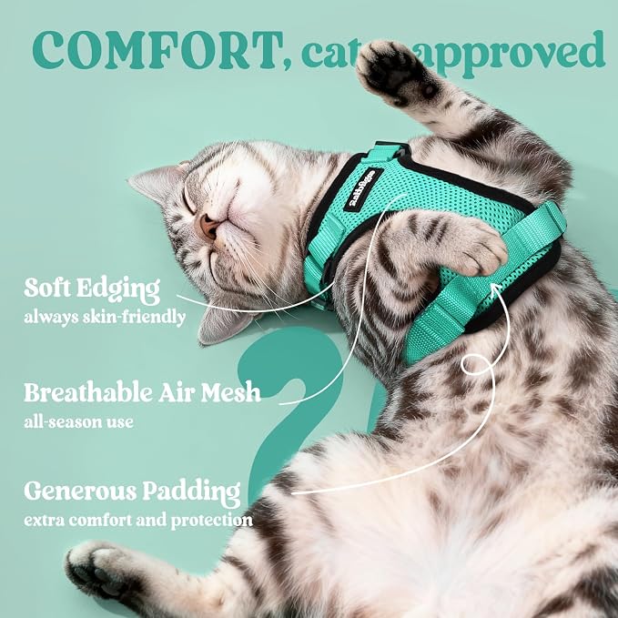 rabbitgoo Cat Harness and Leash Set, Escape Proof Vest, Emerald | Soft Breathable Mesh, Easy Adjustable Fit, Snap Buckles, Sturdy Clip, Reflective Strips, for Average Cats Walks, S
