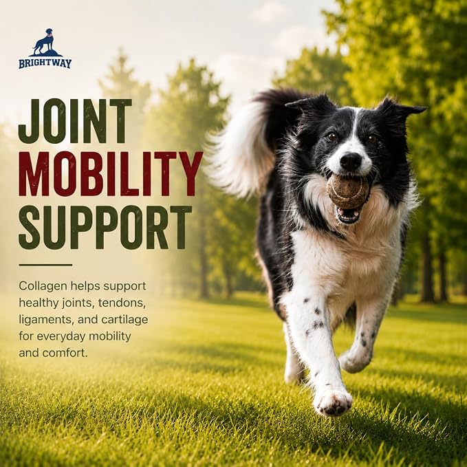 Grass fed Collagen for Dogs - Supports Health Skin & Coat, Hip, Joint Care & Cartilage Support + Skin Health and Mobility, 100% All Natural Collagen