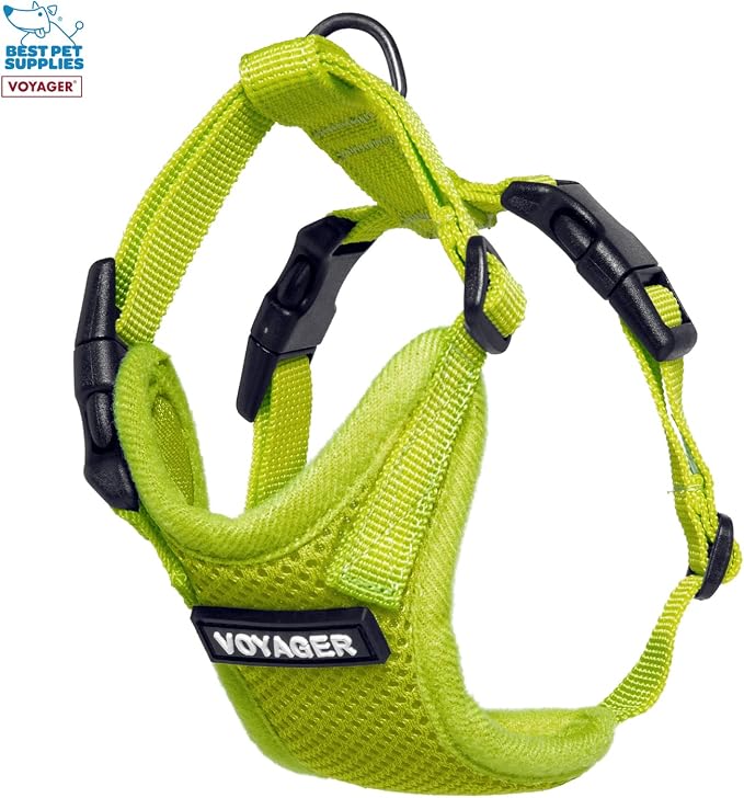 Best Pet Supplies Voyager Step-in Lock Pet Harness w Reflective Pet Leash Combo Set with Neoprene Handle 5ft - Supports Small, Medium and Large Breed Puppies/Cats - Lime Green Set, XXS