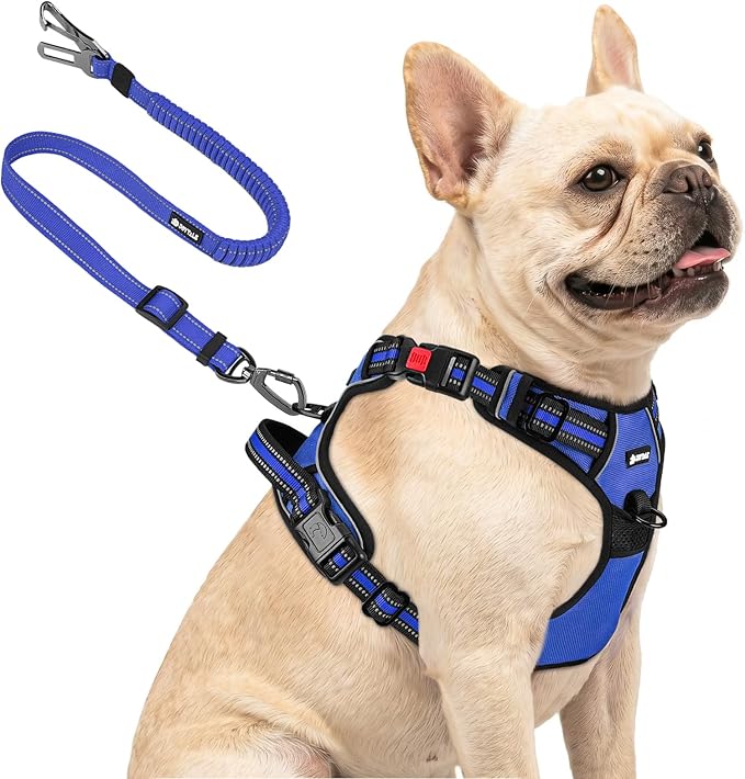 Joytale No Pull Dog Harness & Seat Belt, Easy On 3-Buckle, S, Navy Blue | Front Clip Reduces Pulling, Escape-Resistant Design, Adjustable Fit, Soft Padding for Comfort, Secure Tether for Safer Travel