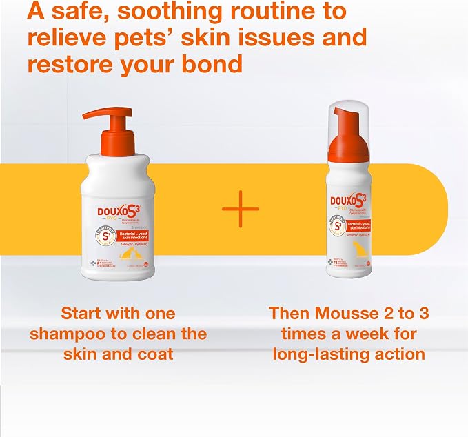 Douxo S3 PYO Medicated Dog Shampoo with 3% Chlorhexidine for Dogs – Antibacterial & Antiseptic Yeast Infection Treatment For Dogs & Cats, Clinically Proven, 6.7 fl oz | Antibacterial & Antiseptic Yeast Infection Treatment For Dogs & Cats, Clinically Pr...