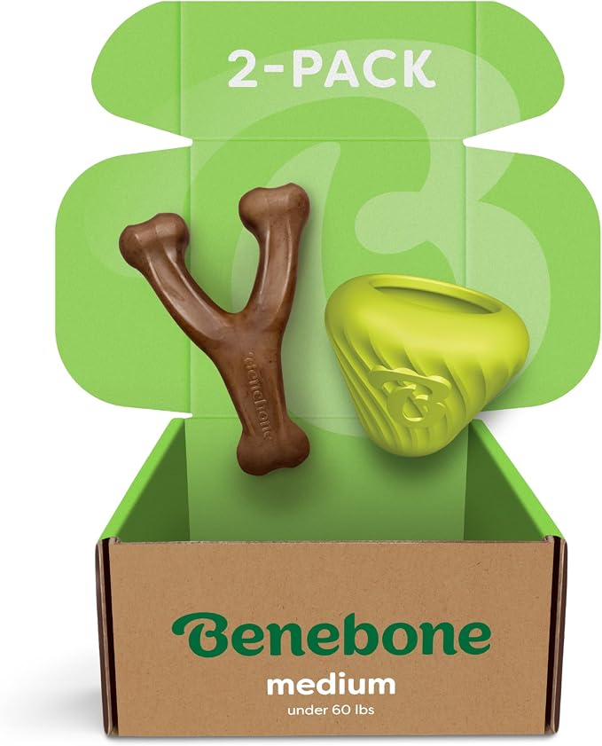 Benebone Dog Toy Bundle – Medium Wishbone Chew (Real Bacon) + Natural Rubber Cone Treat Dispenser – Durable, Made in USA, Great for Aggressive Chewers & Mealtime Enrichment