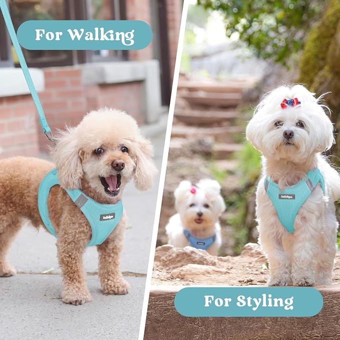 rabbitgoo Step-in Small Dog Harness, Puppy Vest for Small Medium Sized Pet | Easy Put on and off, Lightweight, Soft, Breathable Quick-Dry Air Mesh for Comfortable Secure Walking, Mint Blue L
