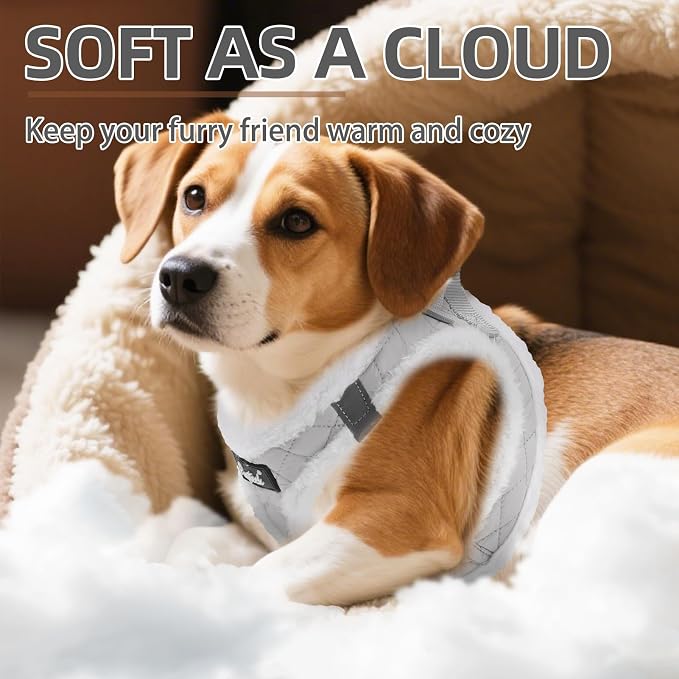PUPTECK Plush Dog Harness and Leash Set for Small Medium Dogs No Pull Step-in Soft Mesh Puppy Cat Winter Vest Harnesses Reflective at Night Warm, Plush Grey, M