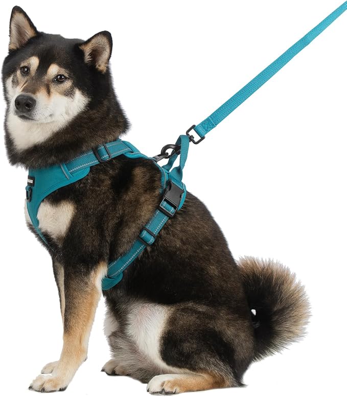 Voyager Dual Attachment No Pull Harness - Turquoise, Small | 16 - 20" in Chest, No Pull Dog Harness, Fully Adjustable, 3M Reflective Technology, Front & Back D-Rings, Walking & Training