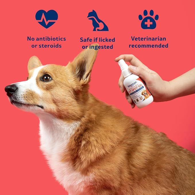 Vetericyn Plus Dog Hot Spot Gel | Spray-On Hot Spot Care for Dogs, Relieves Dog Itchy Skin and Allergy Symptoms, Helps with Skin Inflammation and Redness, Safe for All Animals. 3 ounces