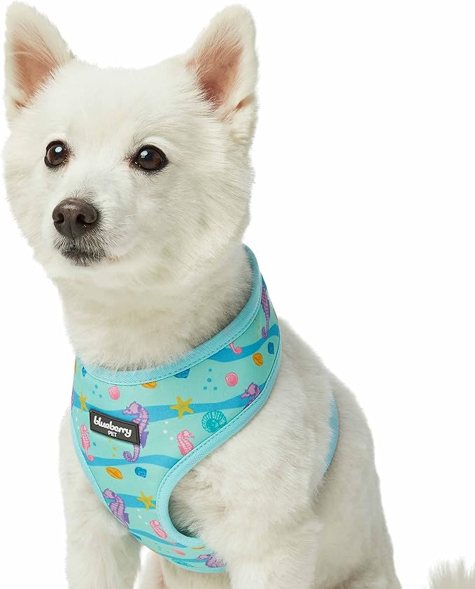 Blueberry Pet Summer Sparkle Dog Harness Vest, Adjustable Small Size, Chest Girth 16" - 21", Turquoise, Ocean Fish and Seahorse Print Nautical Pet Harness