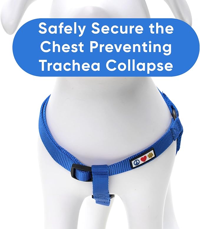 Pawtitas Solid Step-in Dog Harness – Adjustable No-Pull Vest for Puppies to Seniors, Safe & Comfortable L Blue