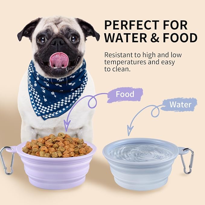 Collapsible Dog Bowls, 2 Pack, Macaron Blue & Violet